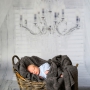 Babyboom Austellung 21 jan (16).jpg